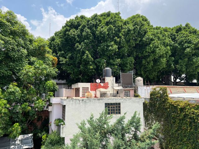 place photo 30