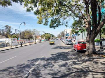 place photo 17