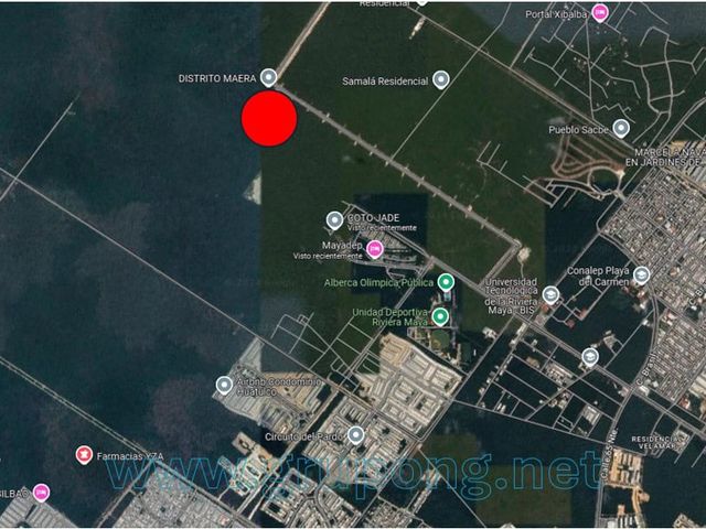 place photo 4
