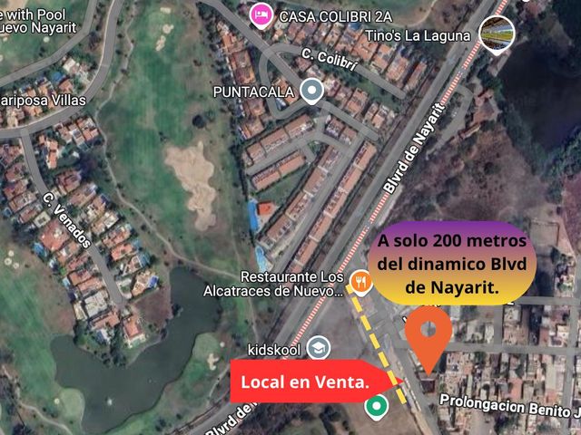 place photo 15