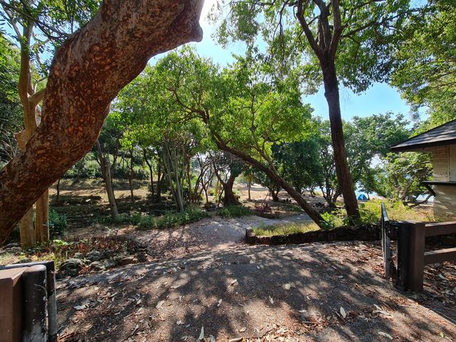 place photo 46