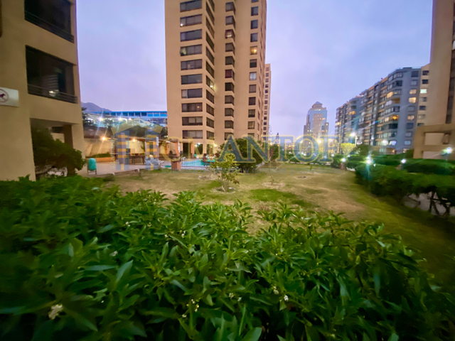place photo 43