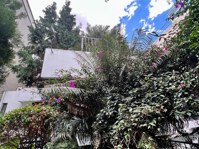 place photo 26