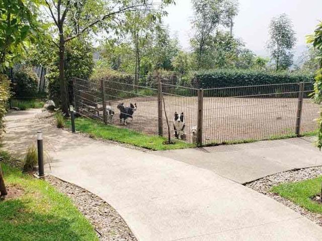 place photo 31