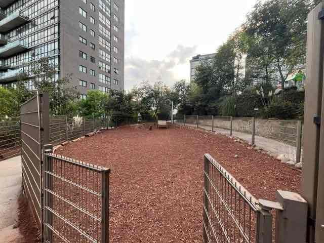 place photo 39