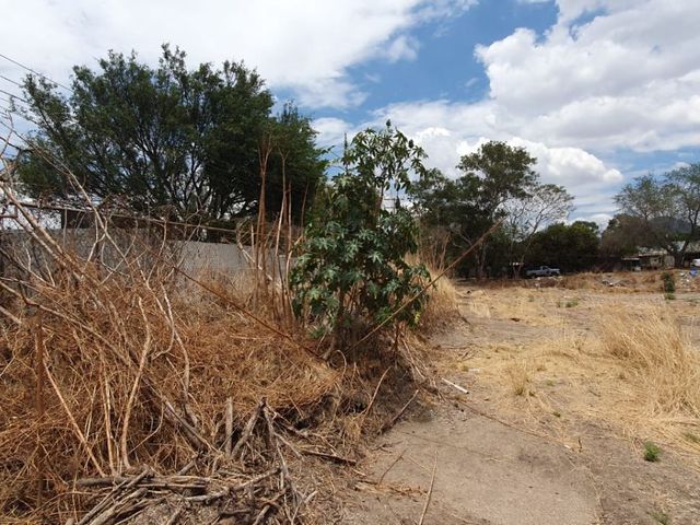 place photo 21