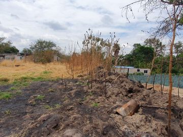 place photo 38
