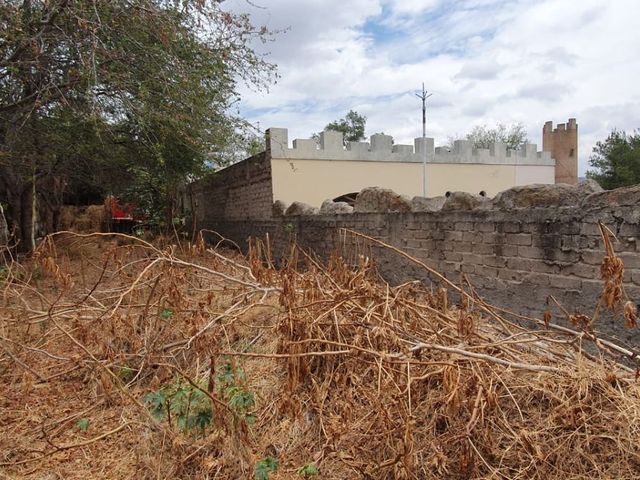 place photo 45