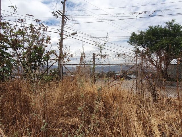 place photo 24
