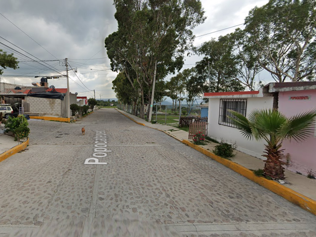 place photo 15