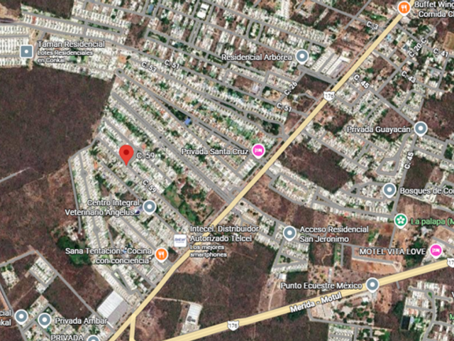 place photo 7
