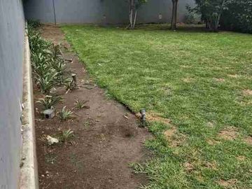 place photo 38