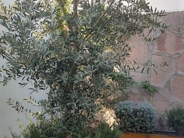 place photo 30