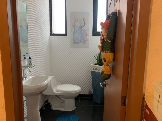 place photo 32