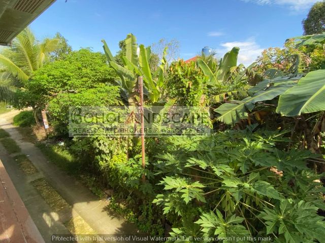 place photo 35