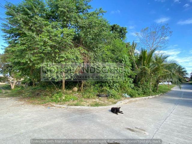 place photo 36