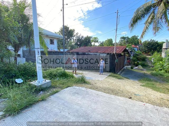 place photo 37
