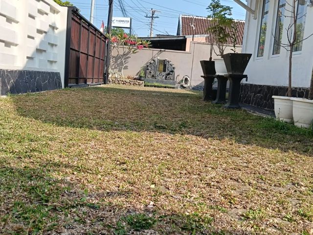 place photo 13
