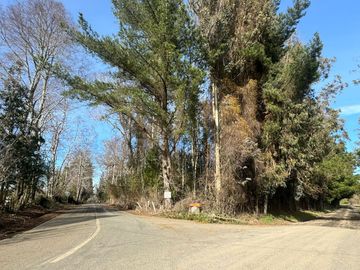 place photo 37