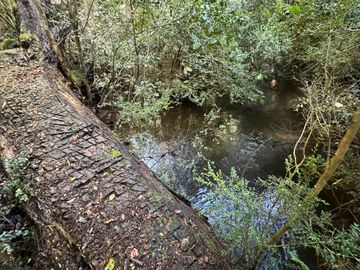place photo 38