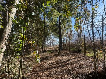 place photo 45