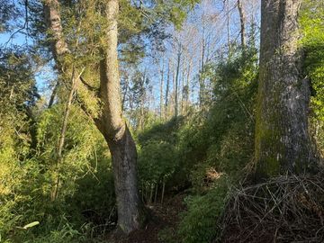place photo 47