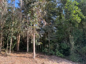 place photo 54