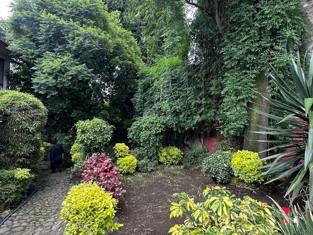 place photo 31