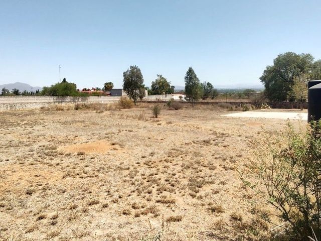 place photo 43