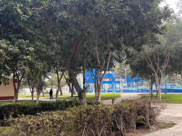 place photo 18