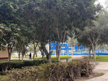 place photo 18