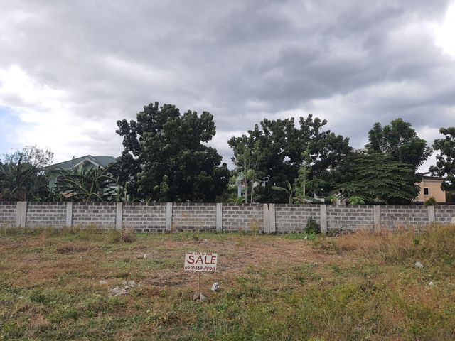 Residential Lot for Sale near EPZA & SM Mall Rosario Cavite