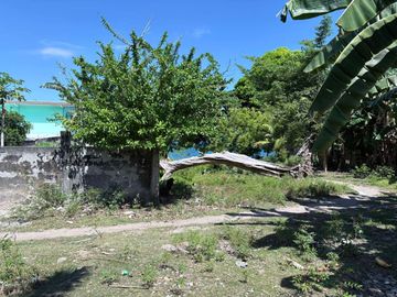place photo 33