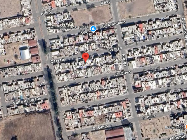 place photo 13