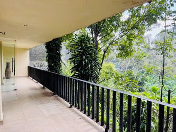 place photo 65