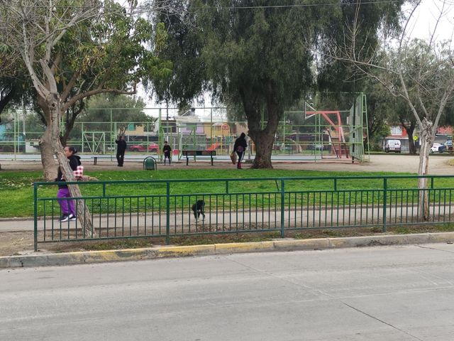 place photo 19