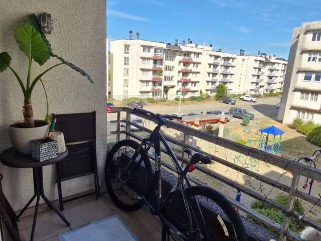 place photo 13