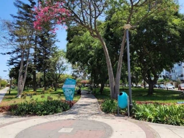 place photo 19