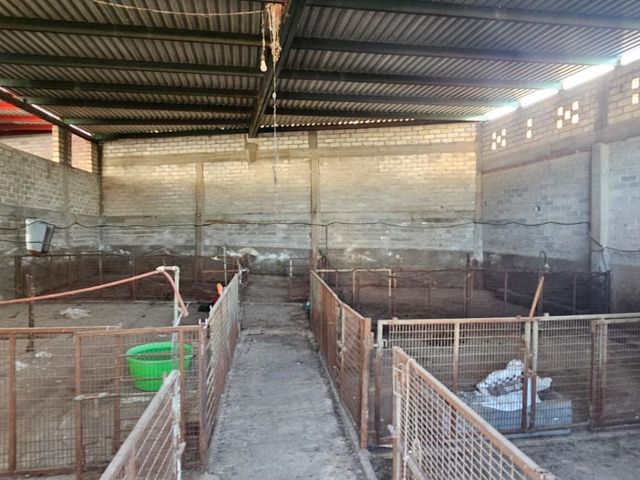 place photo 21