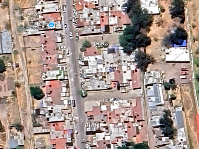 place photo 10