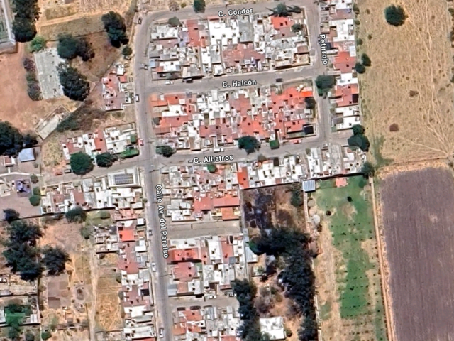 place photo 11