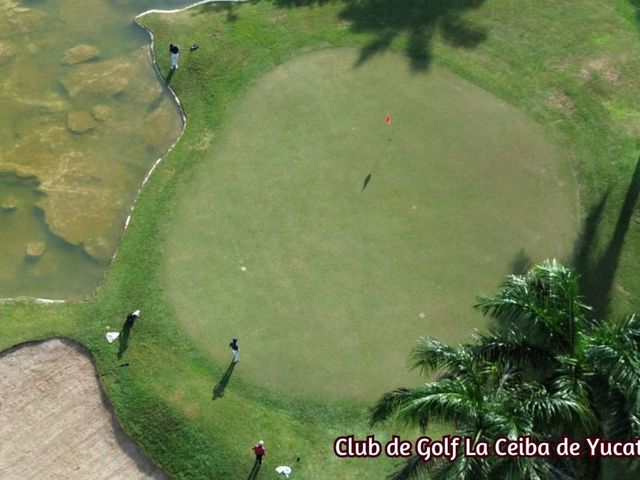 place photo 25