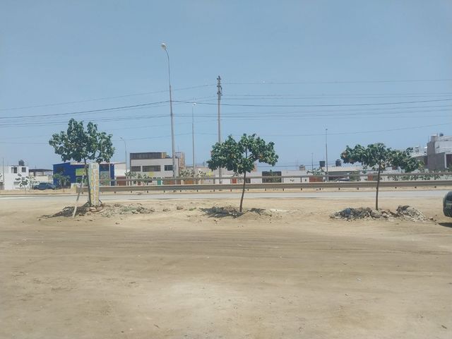 place photo 23