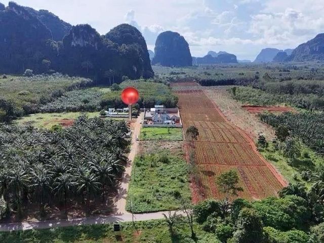 place photo 11