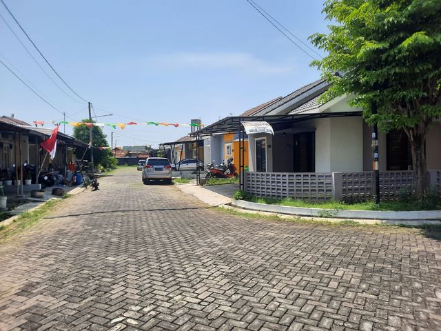 place photo 14