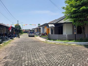 place photo 14