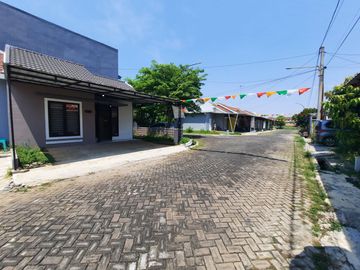 place photo 16