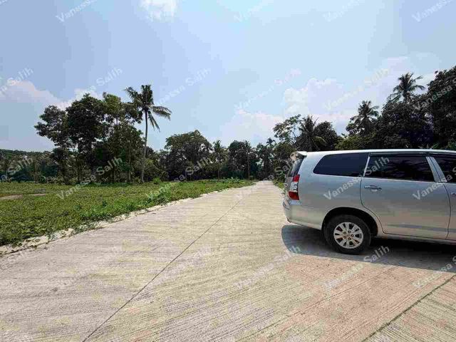 place photo 27