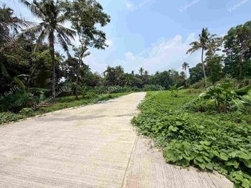 place photo 28