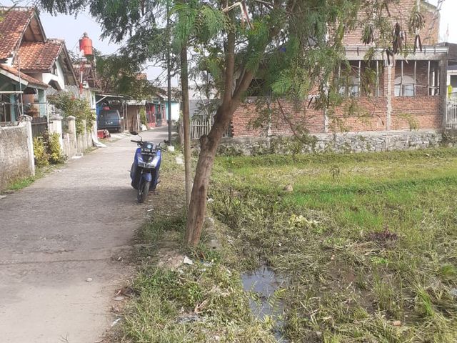 place photo 8